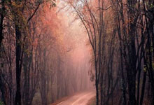 Fifa14SuperSkillMovesAPP  游戏辅助_高级技巧