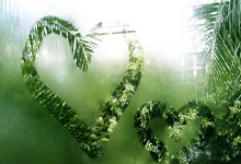 Skype 官方  Skype 官方_通话应用