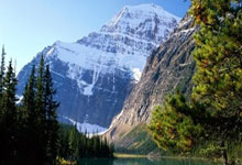 北京门户  资讯 APP_综合资讯