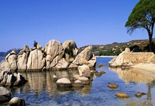 暗黑军团  军团对战_暗黑风格